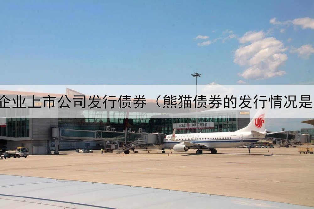  企业上市公司发行债券（熊猫债券的发行情况是）