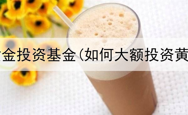  低风险黄金投资基金(如何大额投资黄金赚钱)