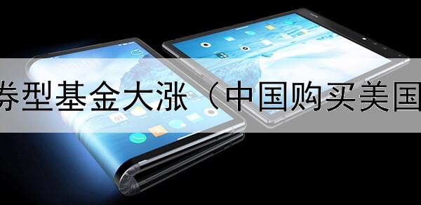  为什么债券型基金大涨（中国购买美国债券风险）