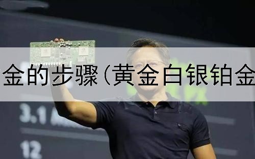  个人投资黄金的步骤(黄金白银铂金投资风险)
