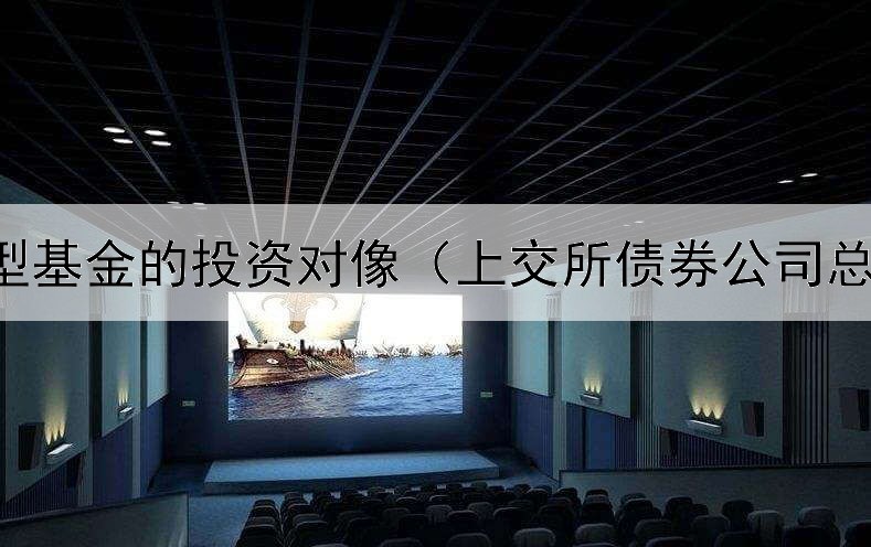 债券型基金的投资对像（上交所债券公司总经理）
