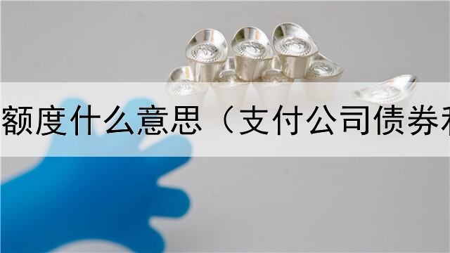  债券入库额度什么意思（支付公司债券利息分录）