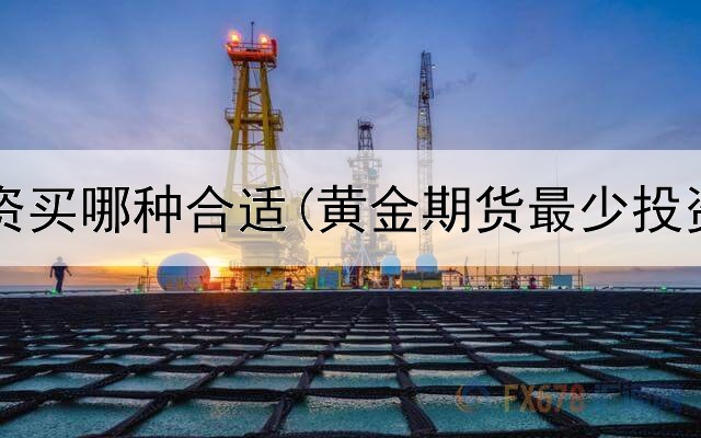  黄金投资买哪种合适(黄金期货最少投资多少)