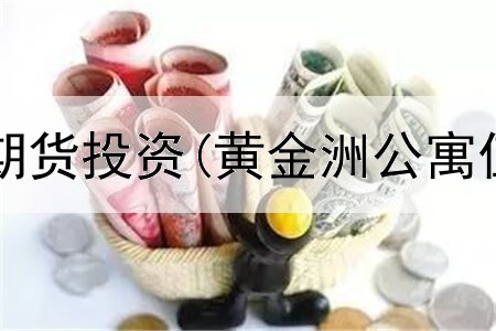  国际黄金是期货投资(黄金洲公寓值得投资吗)