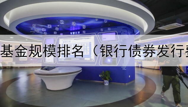  债券私募基金规模排名（银行债券发行费用占比）