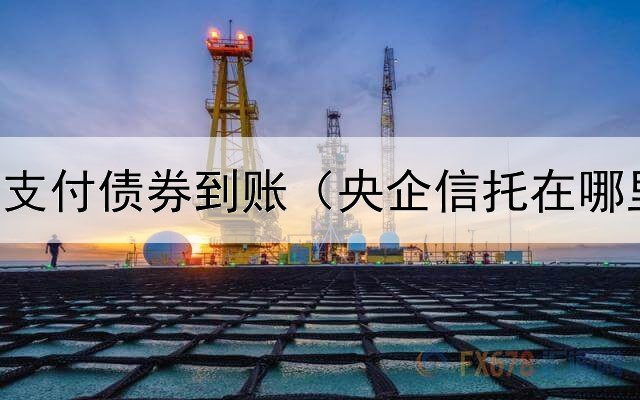  财政直接支付债券到账（央企信托在哪里买债券）