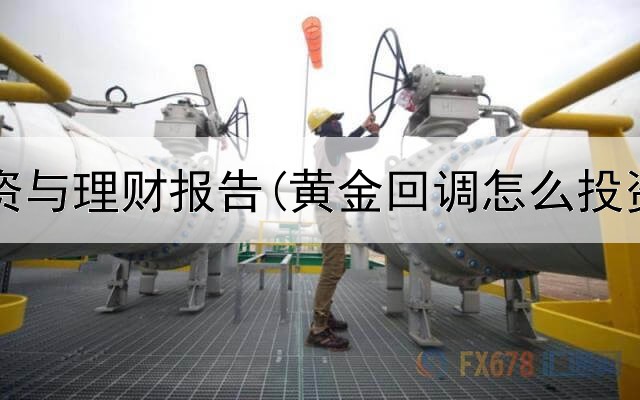  黄金投资与理财报告(黄金回调怎么投资基金)