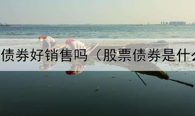  政府平台债券好销售吗（股票债券是什么意思啊）