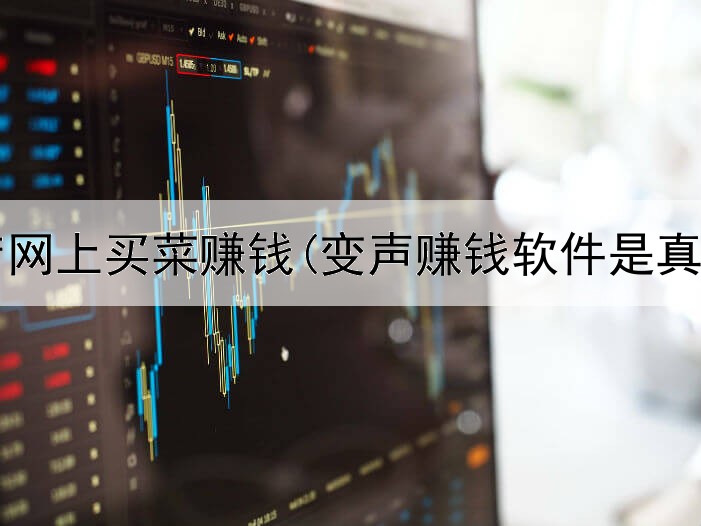 便利店网上买菜赚钱(变声赚钱软件是真的吗)