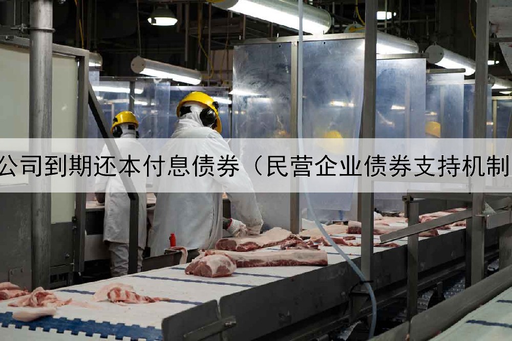  公司到期还本付息债券（民营企业债券支持机制）