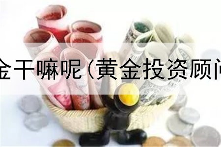  有钱投资黄金干嘛呢(黄金投资顾问注意事项)