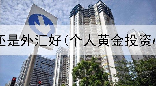  投资黄金还是外汇好(个人黄金投资心得分享)