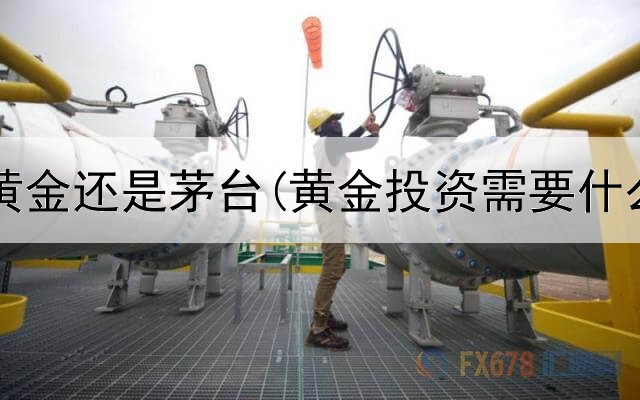  投资选黄金还是茅台(黄金投资需要什么软件)
