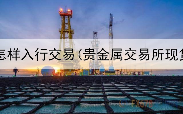  贵金属怎样入行交易(贵金属交易所现货投资)