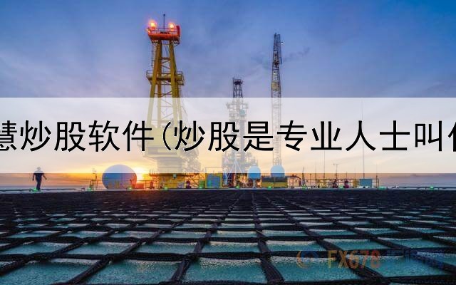  海通大智慧炒股软件(炒股是专业人士叫什么名字)