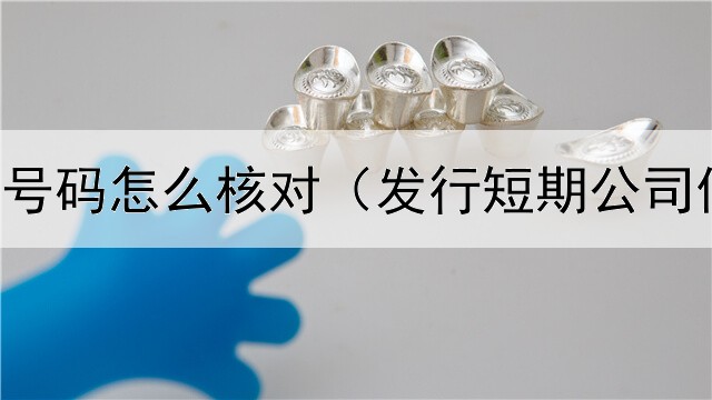  债券中签号码怎么核对（发行短期公司债券股票）