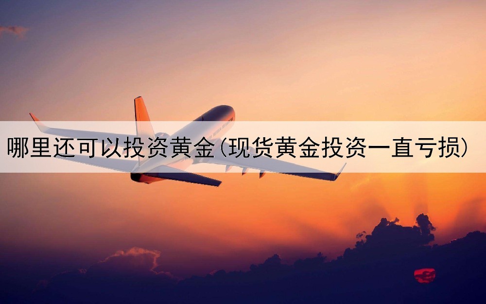  哪里还可以投资黄金(现货黄金投资一直亏损)