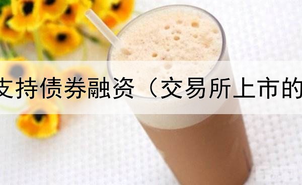  民营企业支持债券融资（交易所上市的债券行情）
