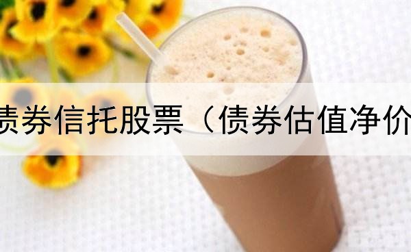  黑岩战略债券信托股票（债券估值净价计算公式）
