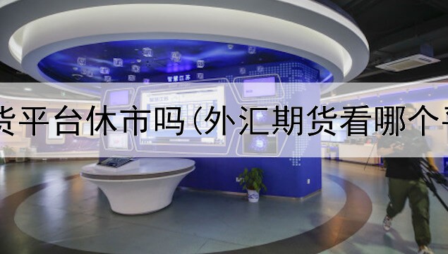  正规的期货平台休市吗(外汇期货看哪个平台好用)